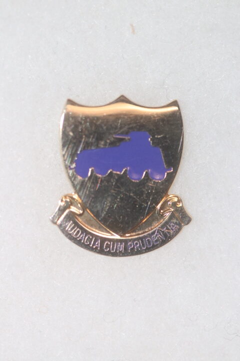 US ARMY 82nd RECONNAISSANCE REGIMENT 2nd ARMD DIVISION ENAMEL DISTINCTIVE UNIT CREST DI