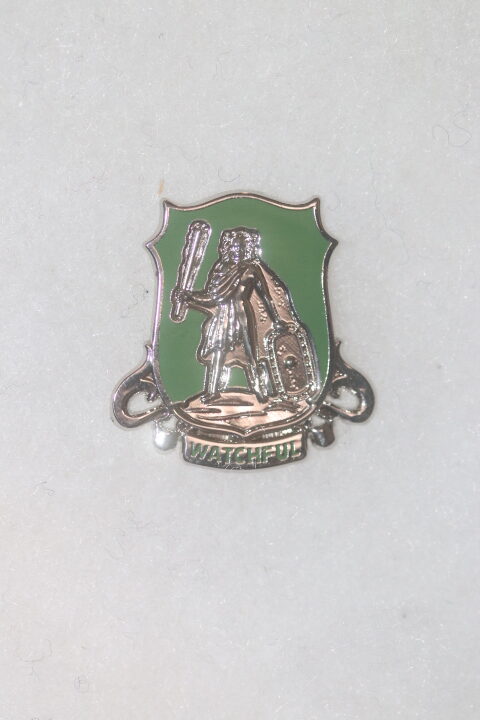 US ARMY 86th RECONNAISSANCE REGIMENT 6th ARMOURED DIVISION ENAMEL DISTINCTIVE UNIT CREST DI