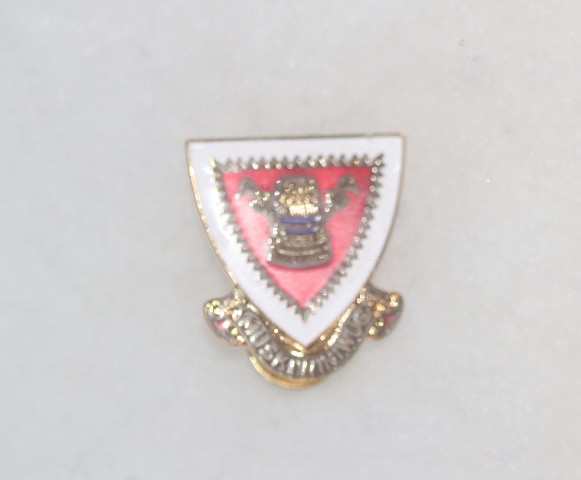 US ARMY 326th AIRBORNE MEDICAL BATTALION 101ST DIVISION ENAMEL DISTINCTIVE CREST DI