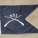 US ARMY 501ST PARACHUTE INFANTRY REGIMENT AIRBORNE GUIDON FLAG ABN SWALLOW TAIL