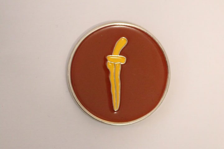 BRITISH ARMY SPECIAL AIR SERVICE SAS D SQUADRON SQN CHALLENGE COIN
