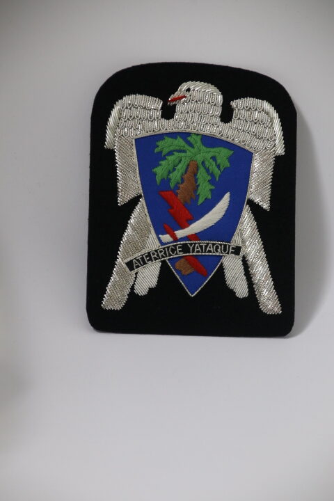 WW2 BULLION 551ST PARACHUTE INFANTRY REGIMENT PIR CLOTH PATCH AIRBORNE NICE COPY