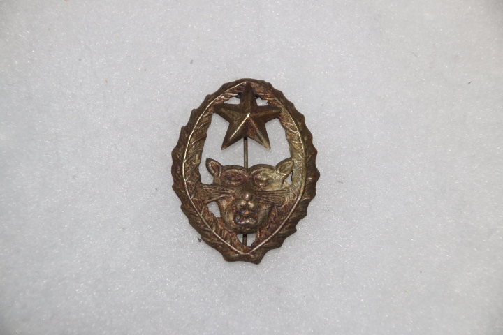 5 COMMANDO MIKE HOARE 'WILD GEESE' MERCENARY METAL BERET BADGE EXCELLENT COPY
