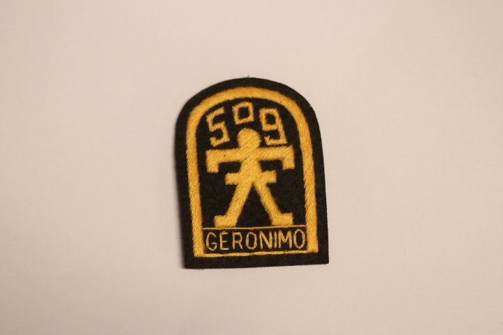US ARMY 509th PARACHUTE INFANTRY REGIMENT WW2 PATTERN CLOTH BERET BADGE