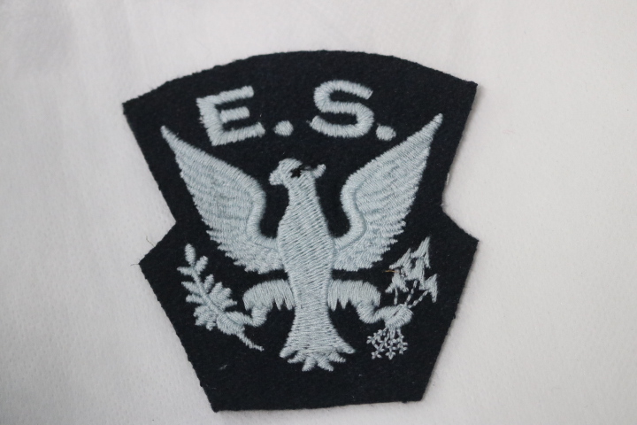 WWII US / CANADIAN AIR FORCE PILOTS IN RAF EAGLE SQUADRON SQDN CLOTH PATCH BADGE